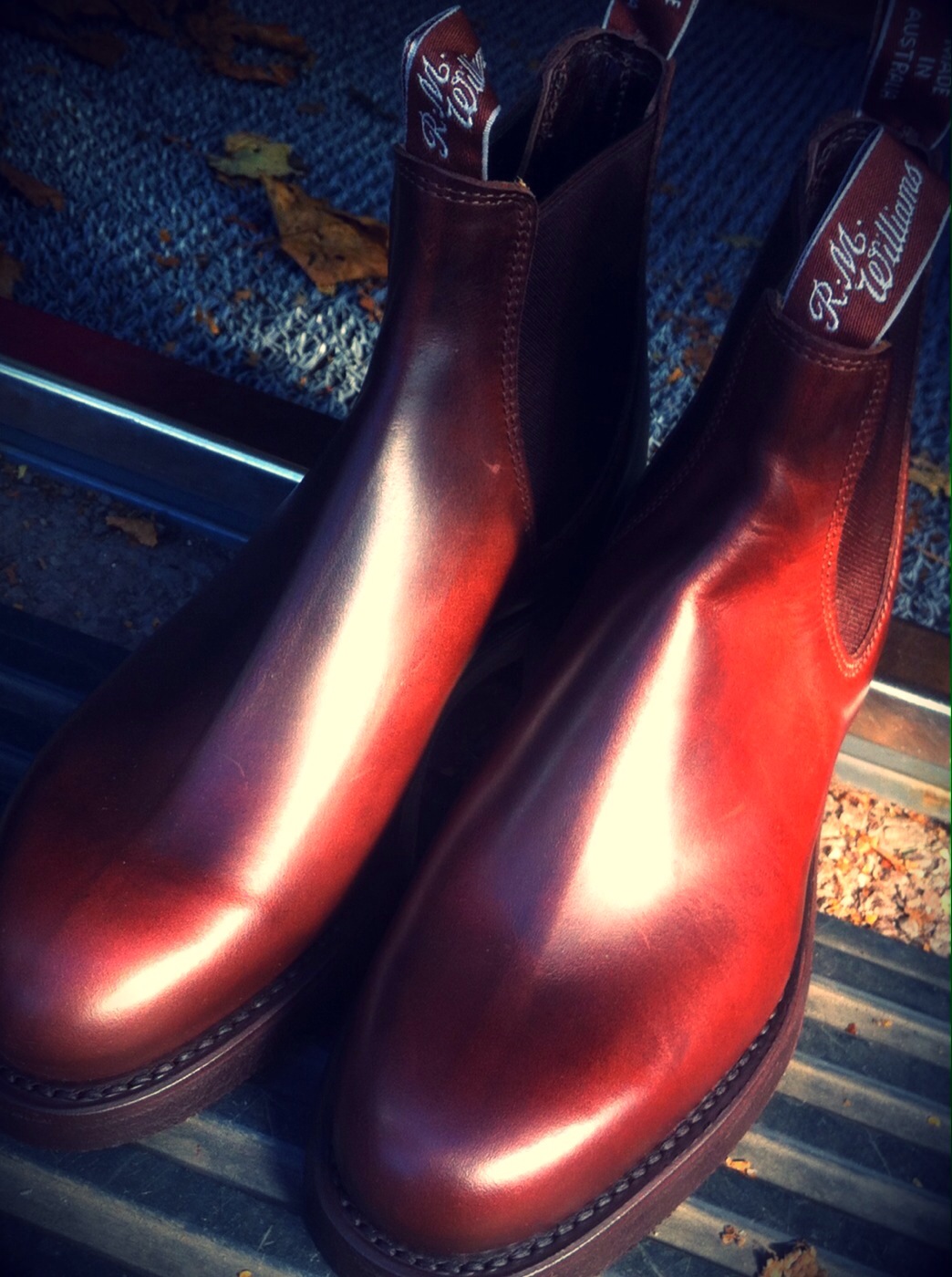 rm williams rum yearling